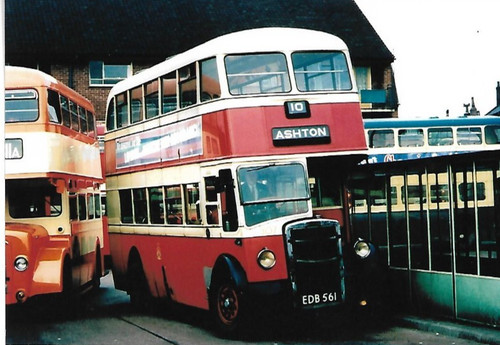 Bus photo edb561 - edb561, stockport