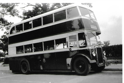 Bus photo dja183 - photo:,