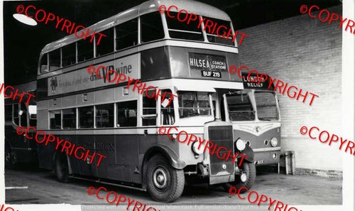 Bus photo southdown - photo,
