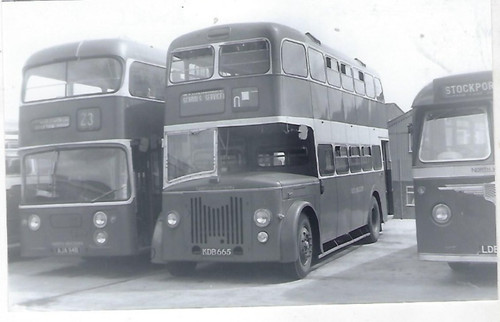 Bus photo kdb665 north - bus,